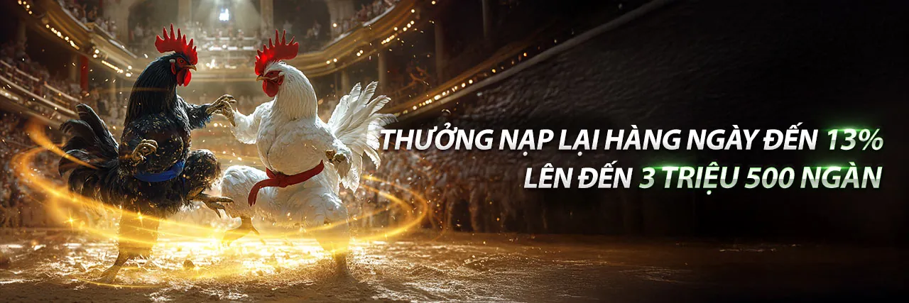 Hình ảnh đại diện câu chuyện thương hiệu Casino Venus