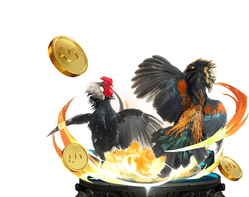 Các chương trình khuyến mãi hấp dẫn của Casino Venus